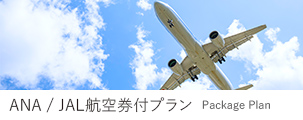 ANA/JAL航空券付プラン
