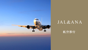 JAL/ANA　航空券付