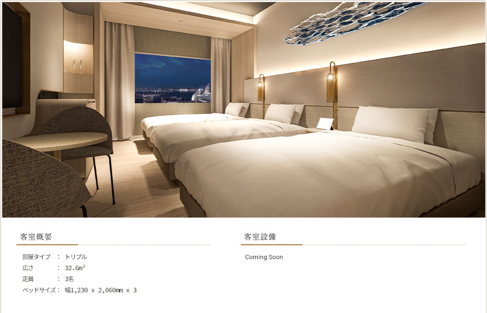 デラックストリプル